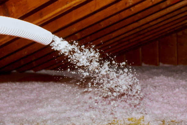 Best Insulation Maintenance and Repair in East Foothills, CA