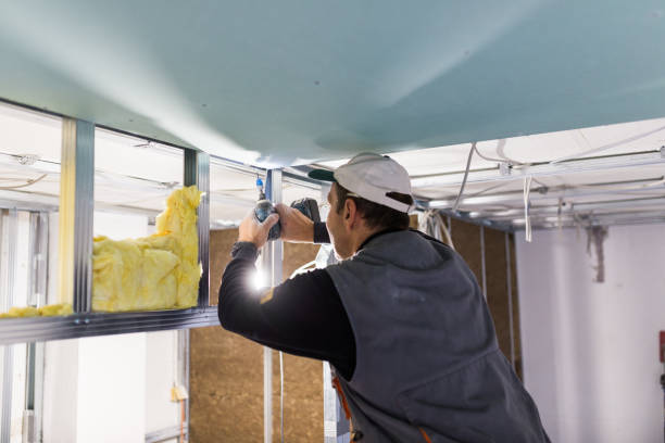 Best Insulation for Specific Applications in East Foothills, CA